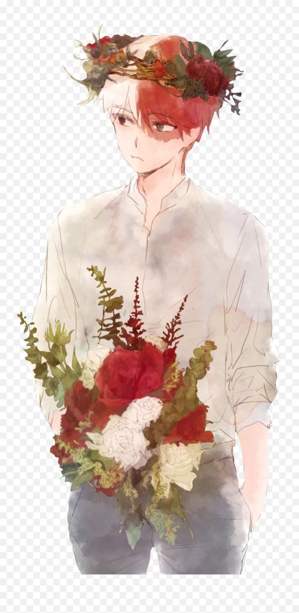 тодороки ханахаки