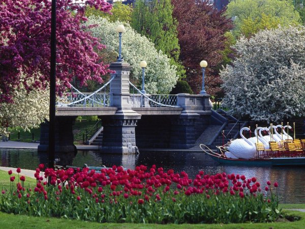 boston public garden