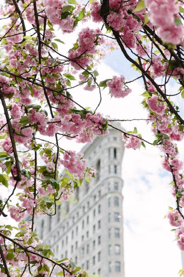 spring in new york