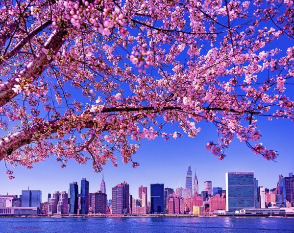 spring in new york