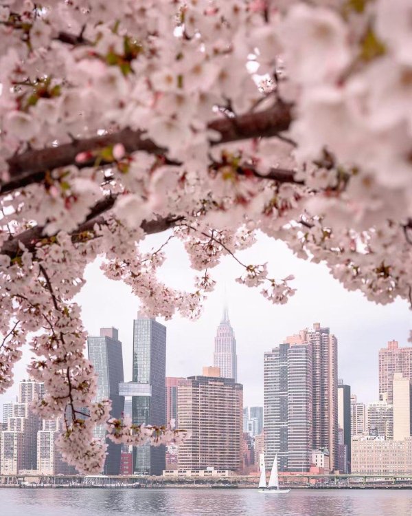 spring in new york