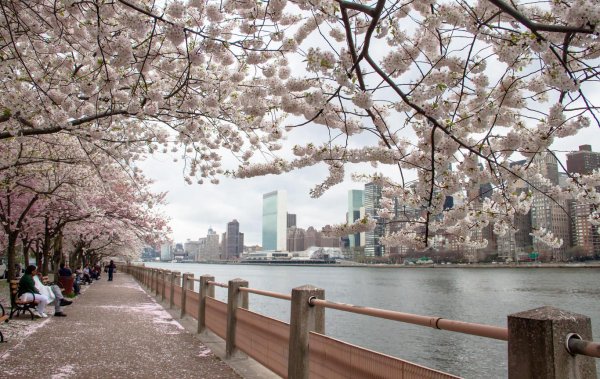 spring in new york