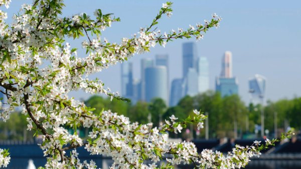 весенняя москва