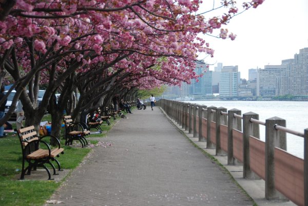 спринг стрит ньюйорк