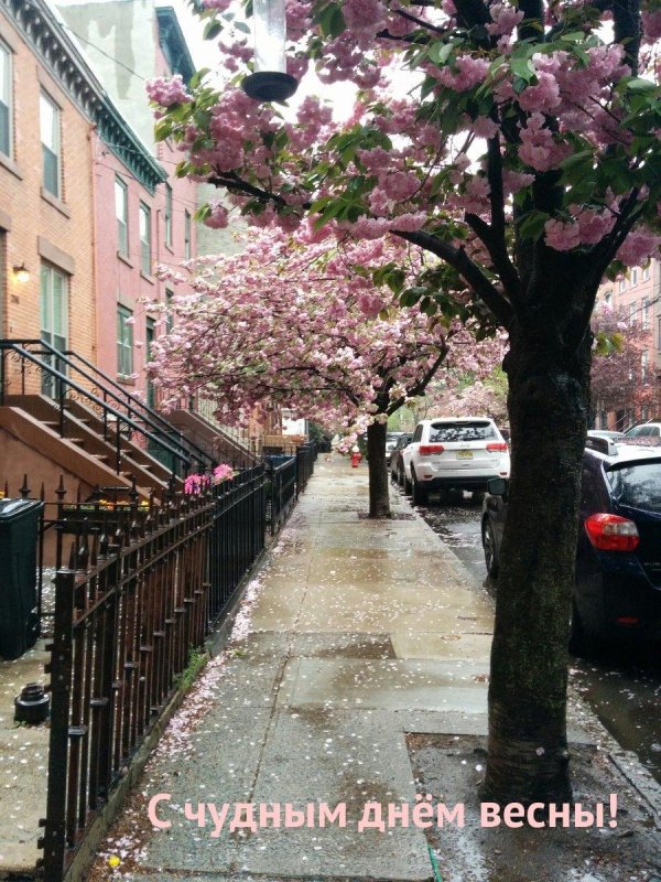 весенний город