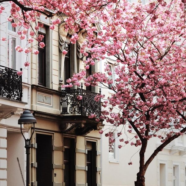 весенний город