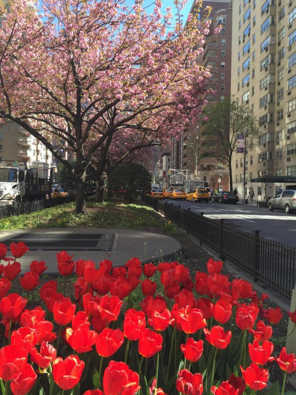 спринг стрит ньюйорк