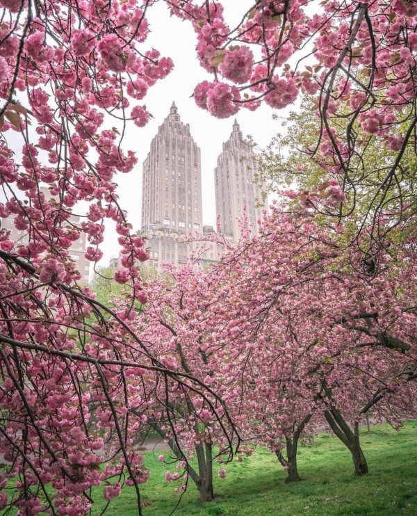 spring in new york