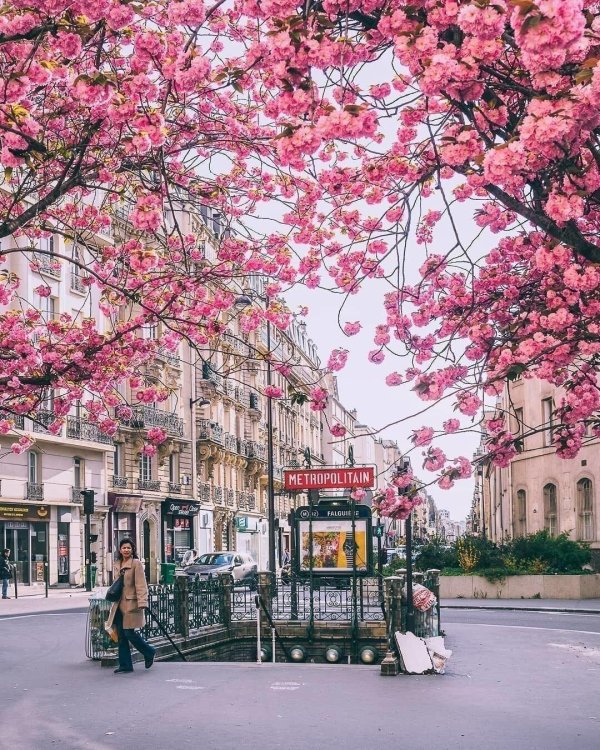 улочки парижа весной