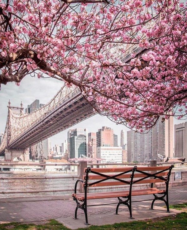 spring in new york