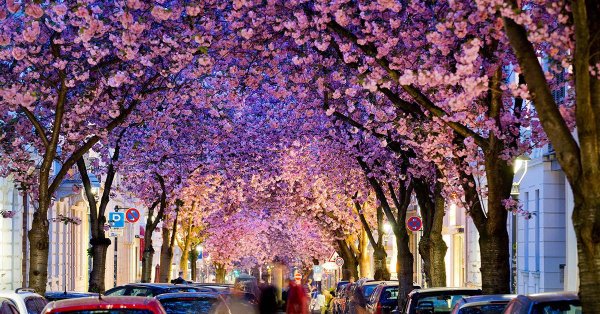 самые красивые улицы мира