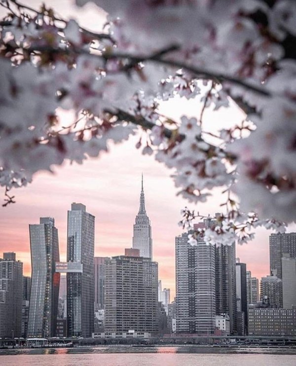 spring in new york