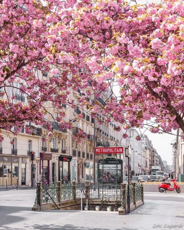 улочки парижа весной