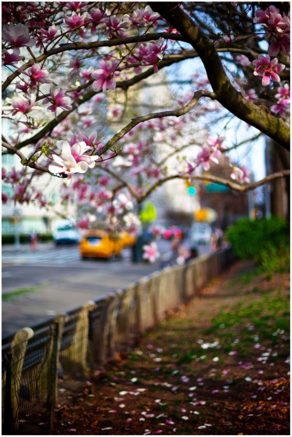 весна город