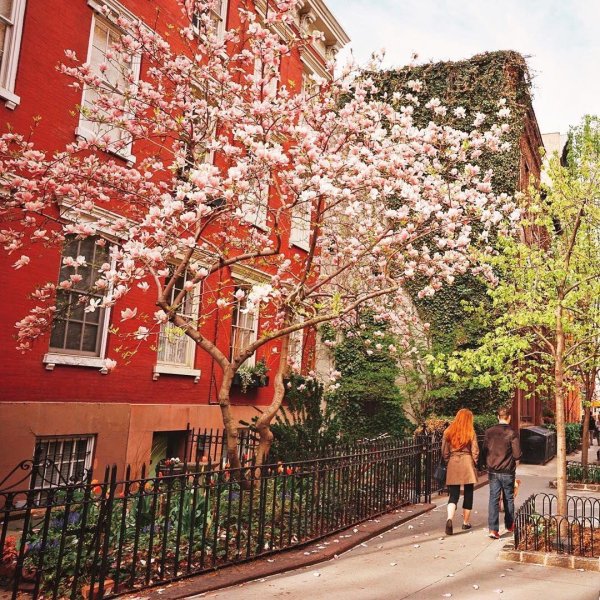 спринг стрит ньюйорк