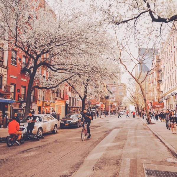 спринг стрит ньюйорк