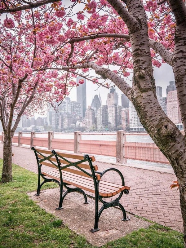 spring in new york