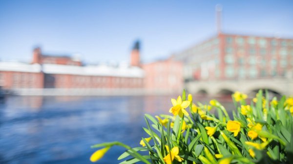 весенний санкт петербург