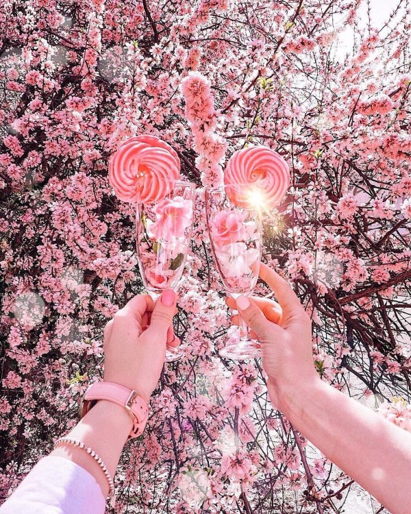 сакура пинтерест