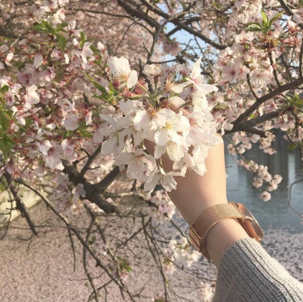 весенняя эстетика