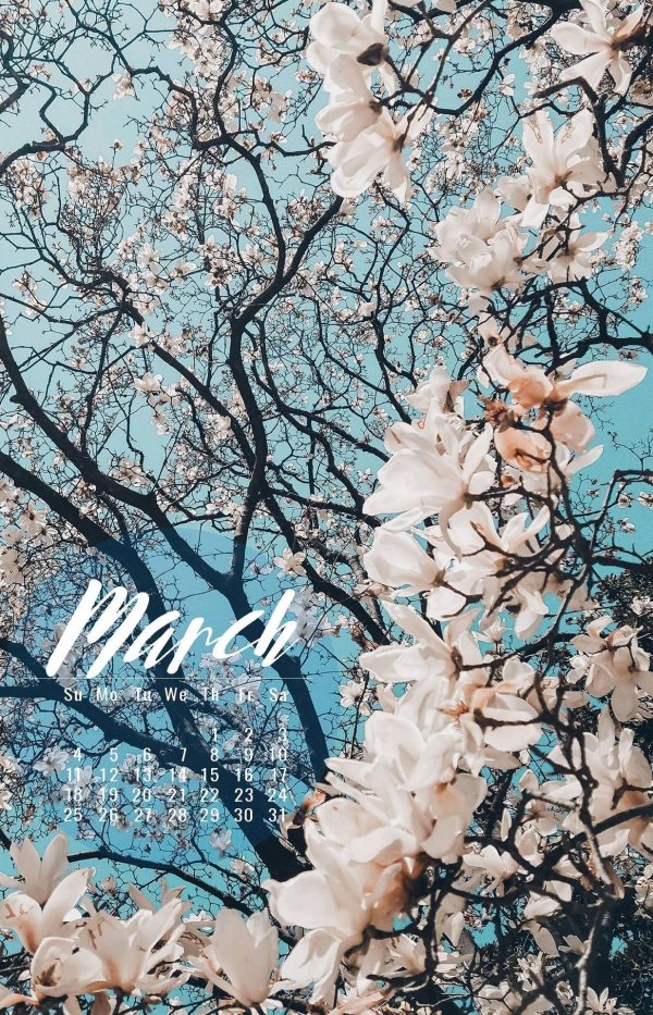 Эстетика весна