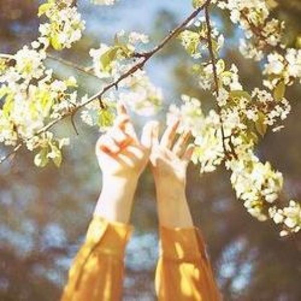 весна солнце