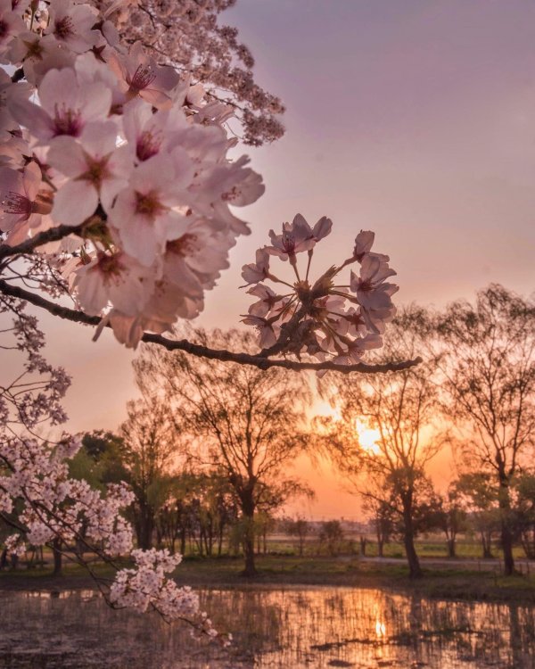 красивые весенние пейзажи