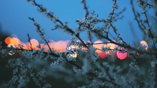 весеннего вечера