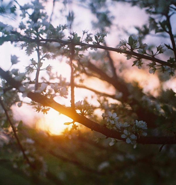 весенний закат