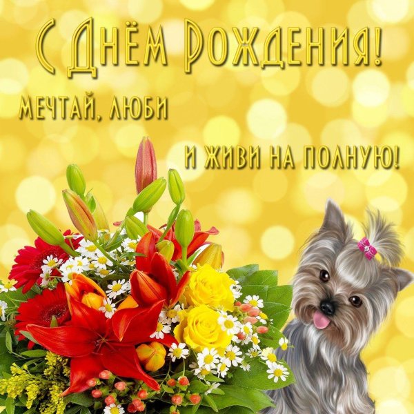 день рождения собаки