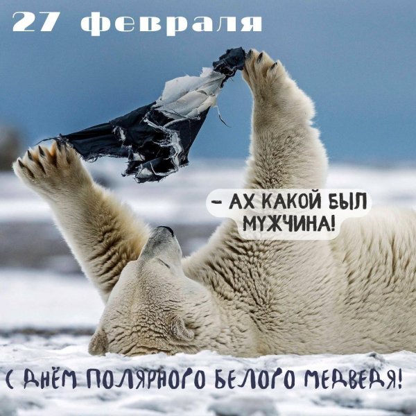 международный день полярного белого медведя