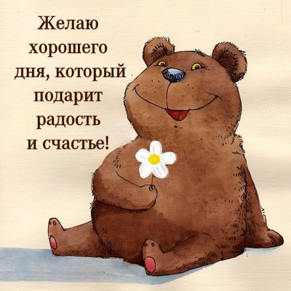 медвежата рисунок