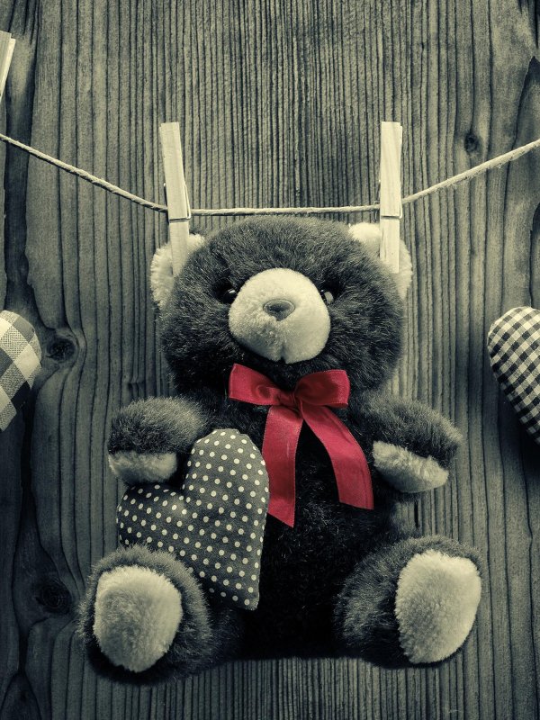 красивые мишки