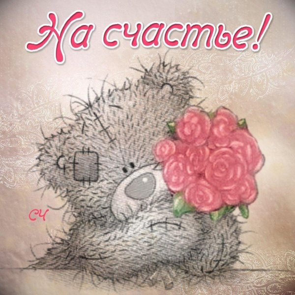 мишка тедди