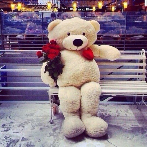 большие плюшевые медведи