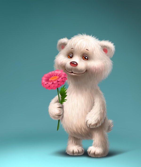 белые мишки