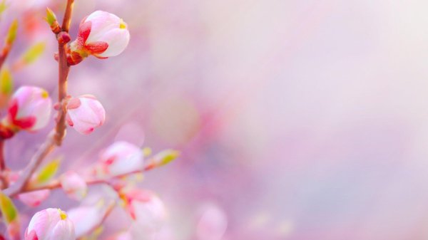 весенний денек