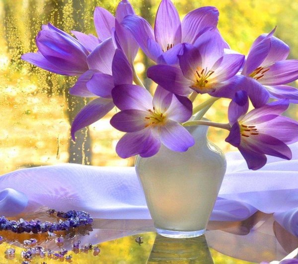 цветок крокус