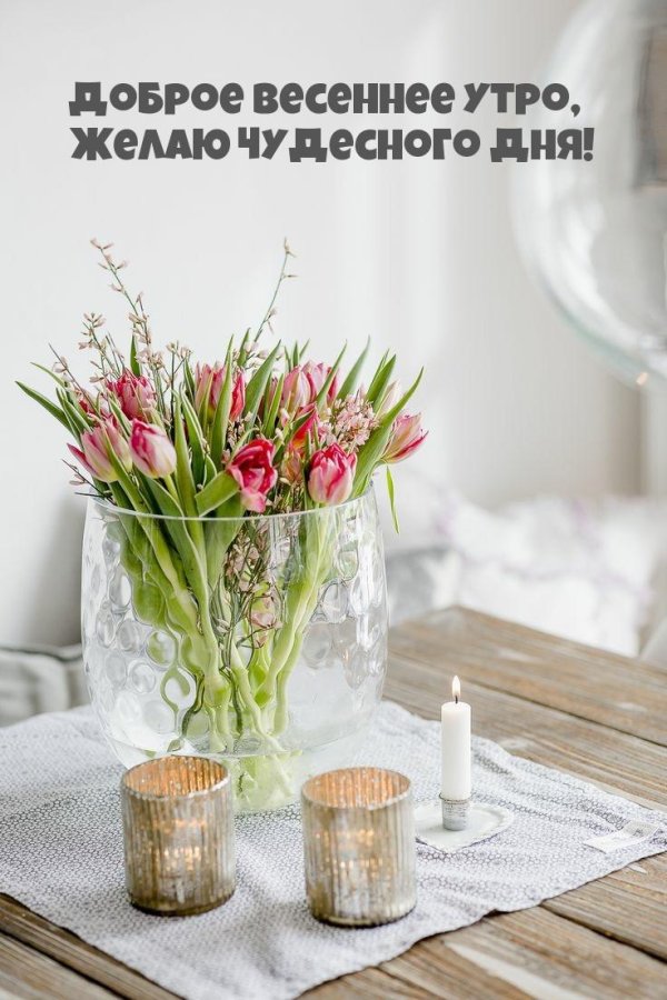 весеннее утро доброе
