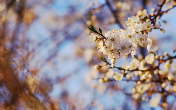 весеннего настроения