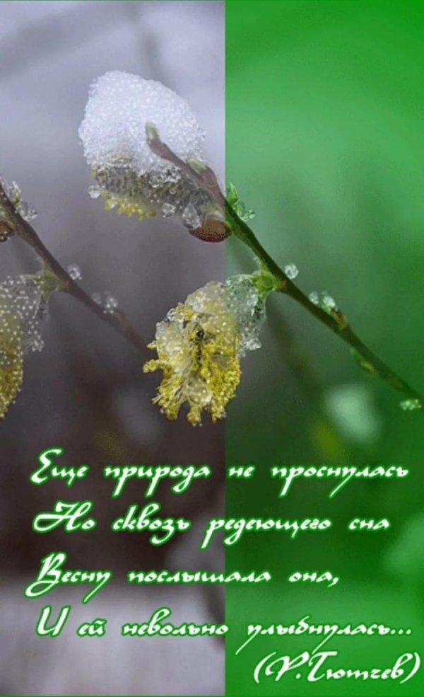 пробуждение природы
