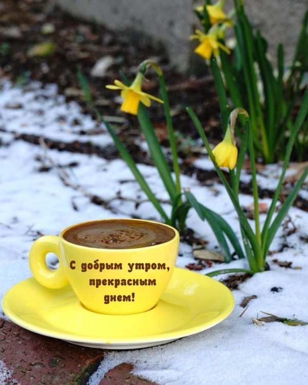 с добрым весенним утром и хорошим днём красивые
