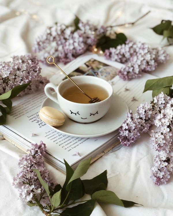 доброго светлого утра