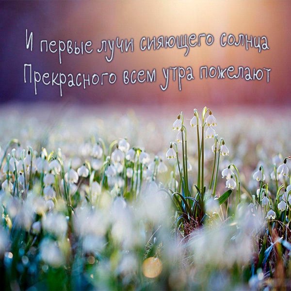 весеннего утра