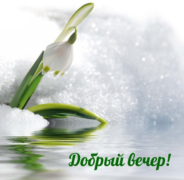 март подснежники