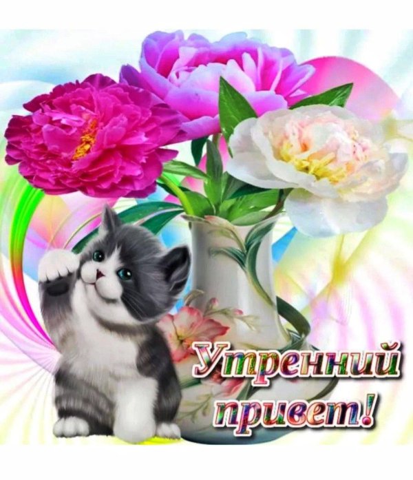 утренний приветик