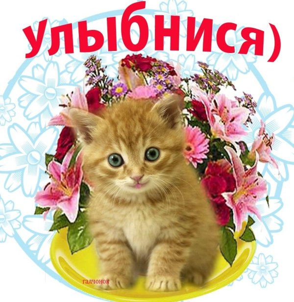 приветик красавица