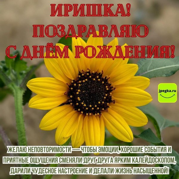 с днём рождения ирина красивые