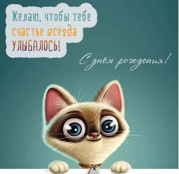 прикольная открытка на день рождения