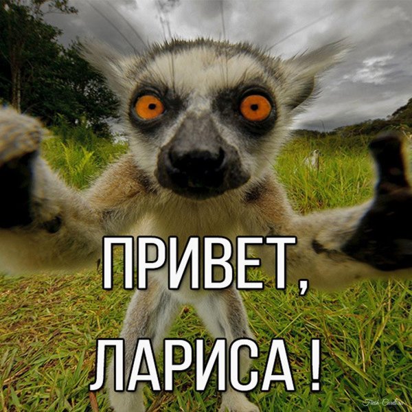 Привет ирина прикольные